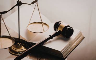 DSGVO – was Unternehmen erwartet und wie Sie hohe Strafen vermeiden