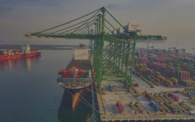 S/4HANA Außenhandelsprozesse – SAP GTS oder doch eine andere Lösung?