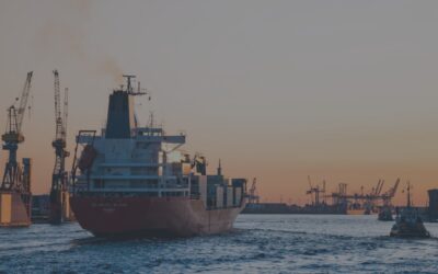 Mittelstandsgerechte Lösungen für den Außenhandel in SAP S/4HANA