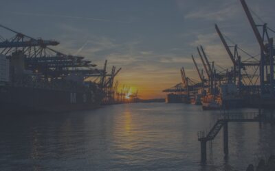 Branchenlösungen für SAP S/4HANA – ist das möglich?