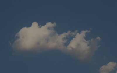Warum wird die Cloud auch in diesem Jahr so wichtig sein?