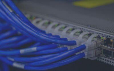 Die SAP SuccessFactors Human Experience Management Suite = eine HR-(R)Evolution?